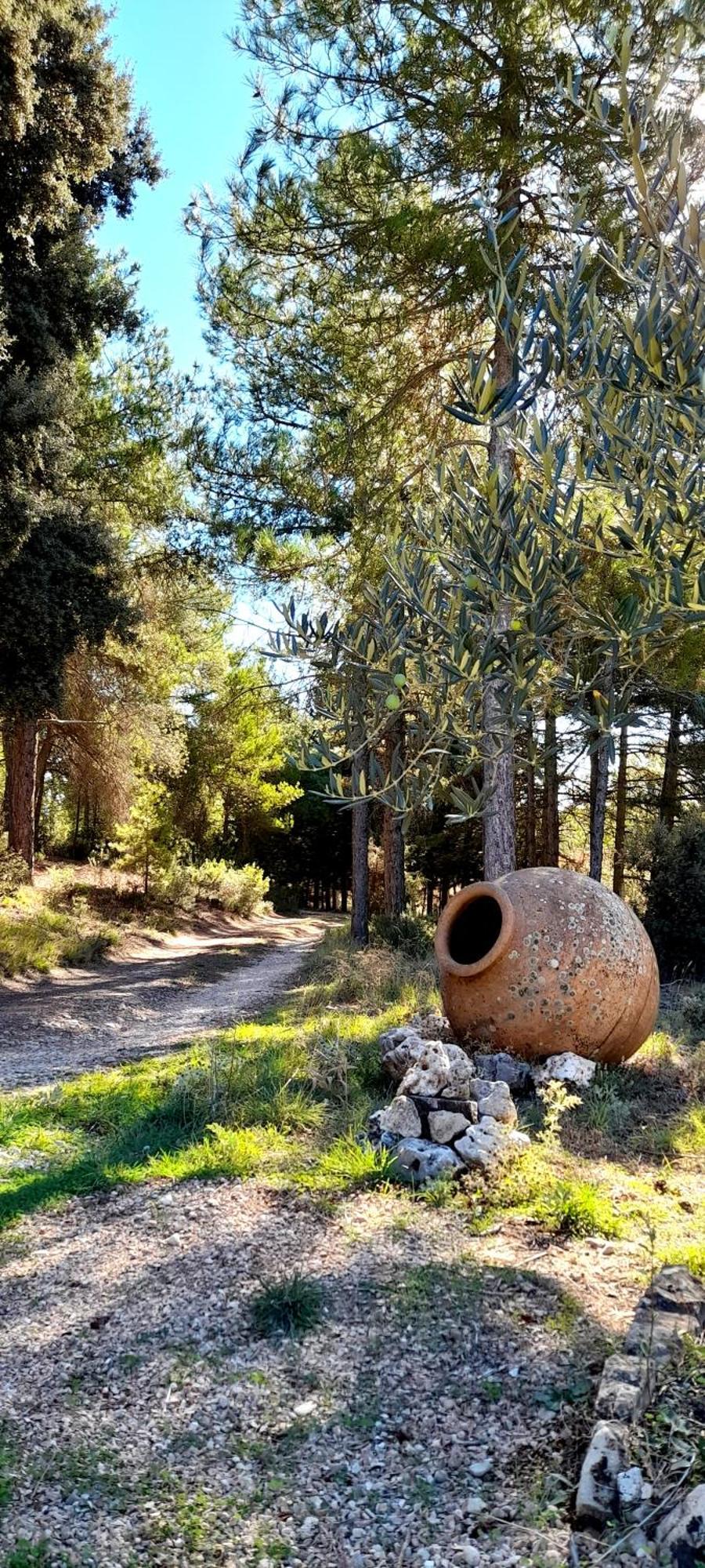 Villa Sanz Cuenca  Dış mekan fotoğraf