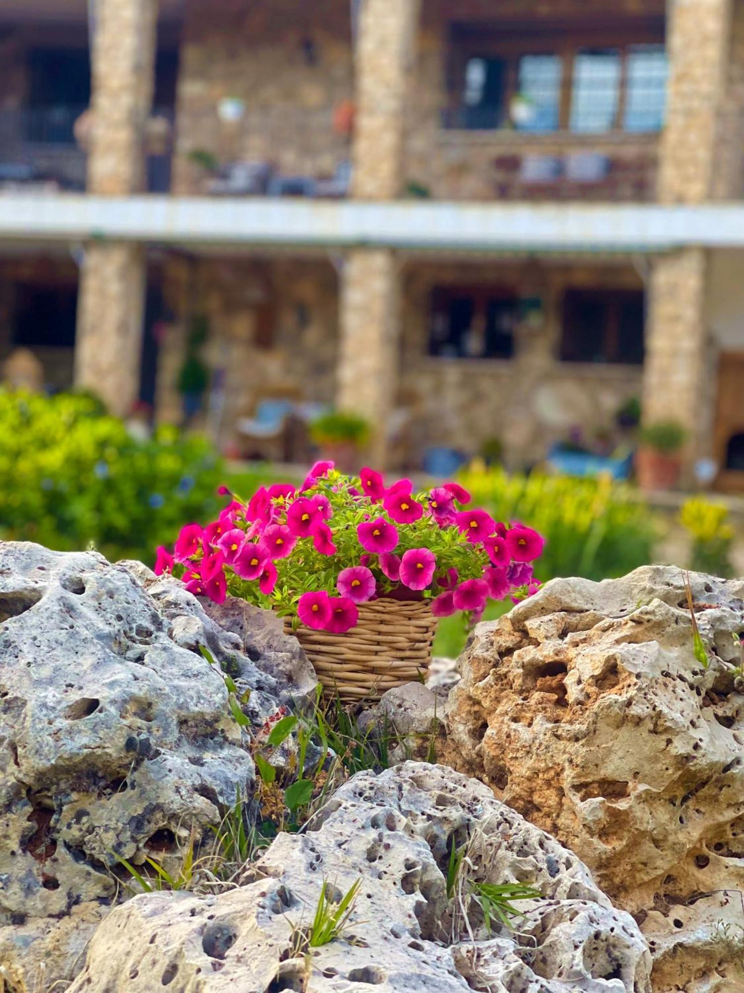 Villa Sanz Cuenca  Dış mekan fotoğraf